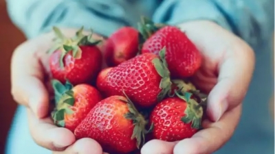 Σύνδεση της ηπατίτιδας Α με τις... φράουλες εξετάζουν οι ειδικοί στις ΗΠΑ - Δύο εταιρείες στο στόχαστρο