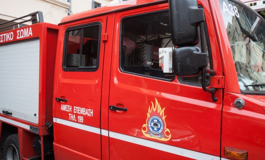 Σαλαμίνα: Πυρκαγιά κοντά σε κατοικημένη περιοχή στον Άγιο Νικόλαο – Στο σημείο οι δυνάμεις της Πυροσβεστικής