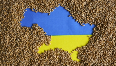 Στον αέρα η εξαγωγή ουκρανικών σιτηρών - Επιστολή Guterres (ΟΗΕ) στον Putin