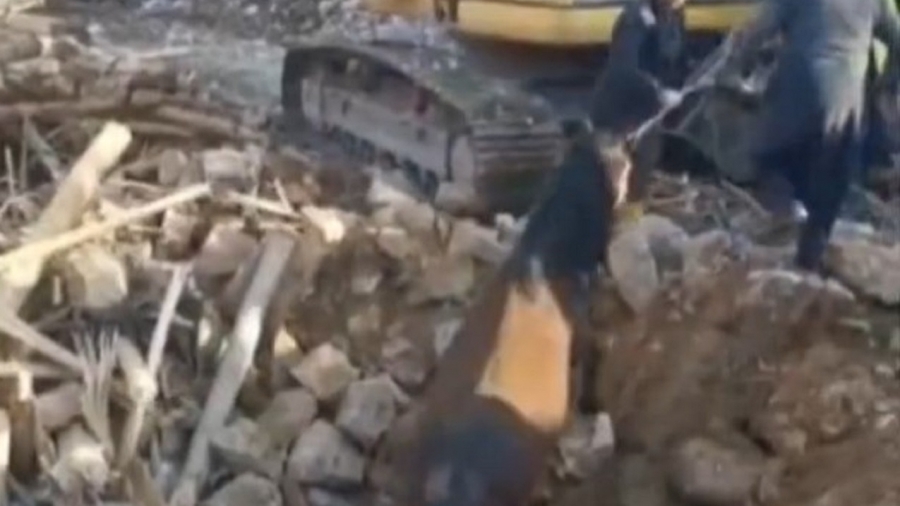 Σεισμός στην Τουρκία: Άλογο ανασύρθηκε ζωντανό μετά από... 21 ημέρες
