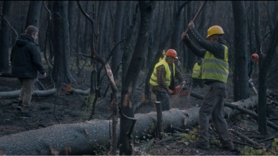 «Μετά τη φωτιά» - Το μοναδικό ντοκιμαντέρ της Coca-Cola στην Ελλάδα για την αναγέννηση της φύσης