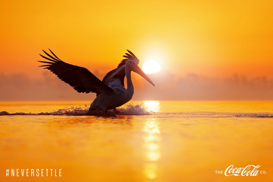 #NEVERSETTLE: Δεν αρκεί να φτιάχνουμε αναψυκτικά - Χρειάζεται να κάνουμε τη διαφορά