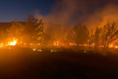 Κρήτη: Παραμένουν στο δάσος της Κέρης οι πυροσβεστικές δυνάμεις, οριοθετημένη η πυρκαγιά