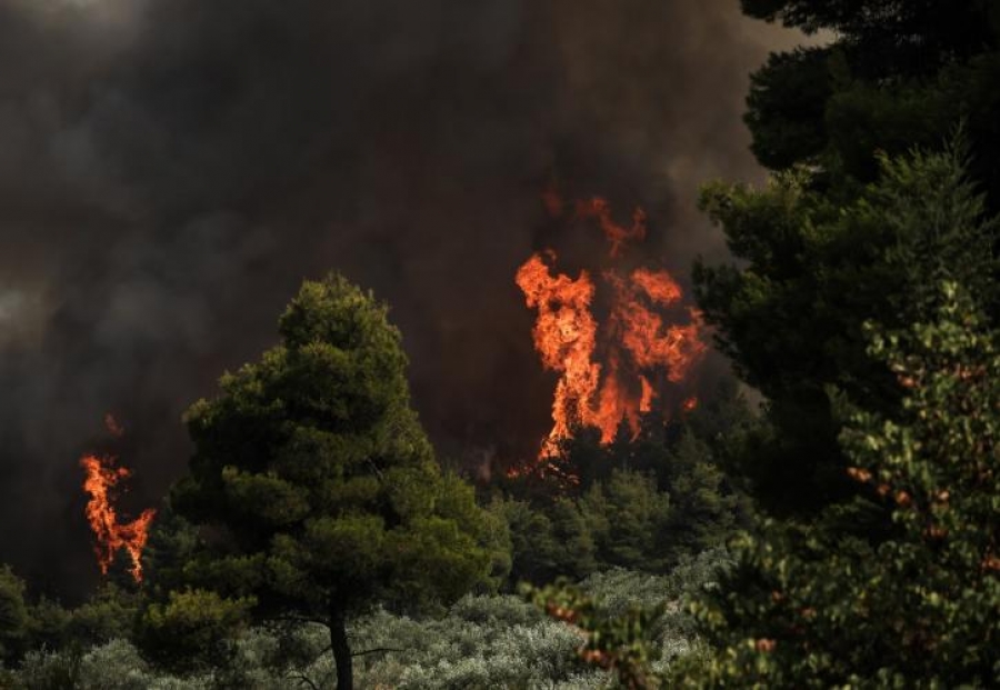 Δραματική η κατάσταση στη Βόρεια Εύβοια - Εκκενώθηκαν 6 οικισμοί - Σε τρία μέτωπα η μάχη με τις φλόγες