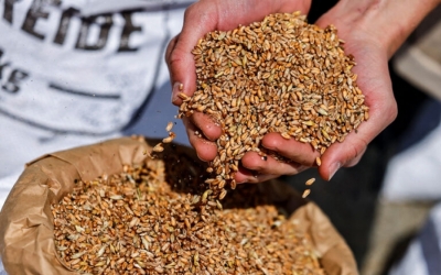 Συμφωνία της τριμερούς με ΟΗΕ για τις διαδικασίες αποστολής των ουκρανικών σιτηρών