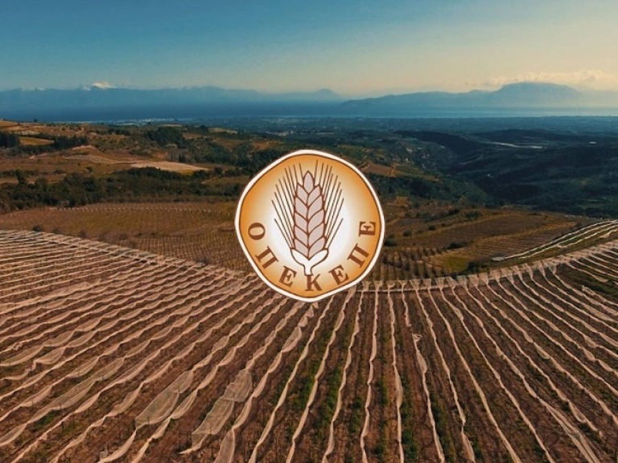 Παράνομες επιδοτήσεις ΟΠΕΚΕΠΕ στην Κρήτη: Ελεύθεροι όλοι οι κατηγορούμενοι της δεύτερης ομάδας