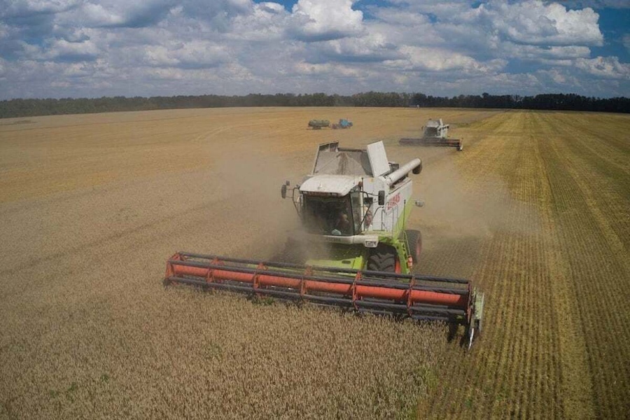 We are eating poison: Toxic 