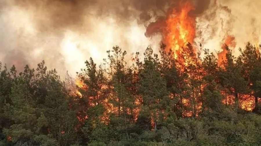 ΓΓΠΠ: Μεγάλος κίνδυνος πυρκαγιάς σε Αττική, Αργολίδα, Βοιωτία και Εύβοια το Σάββατο 22/6
