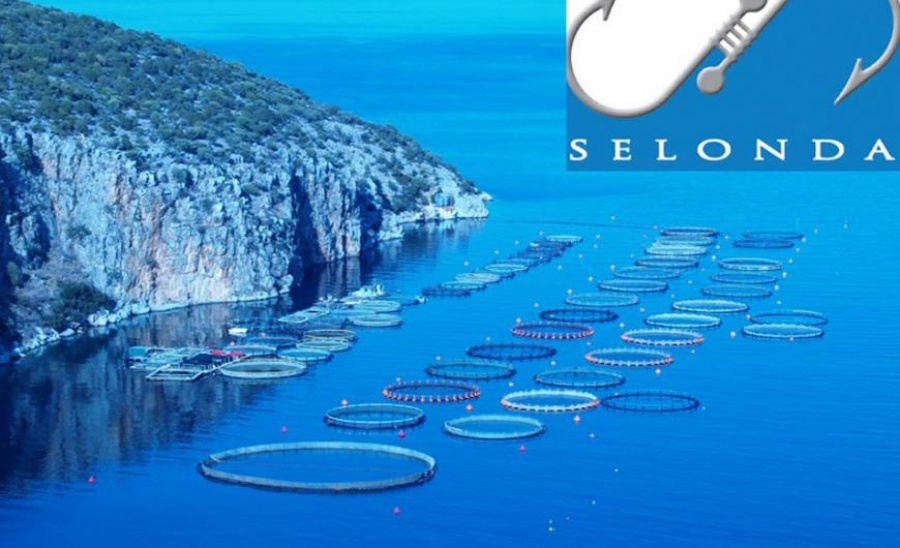 Σελόντα: Διευκρινίσεις για την ολοκλήρωση της πώλησης στην Andromeda Seafood