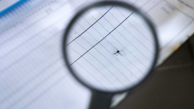 Τρεις θάνατοι και εξήντα κρούσματα λοίμωξης από τον ιό του Δυτικού Νείλου