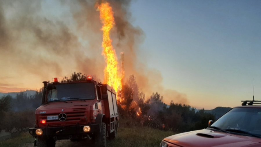 Οριοθετημένη η φωτιά στην περιοχή Ρούτσι του δήμου Μεγαλόπολης Αρκαδίας