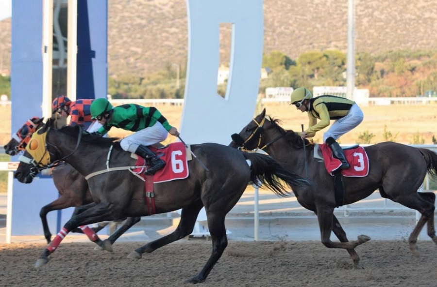 Markopoulo Park: Πλούσιο θέαμα με έξι κούρσες και Dirt Games