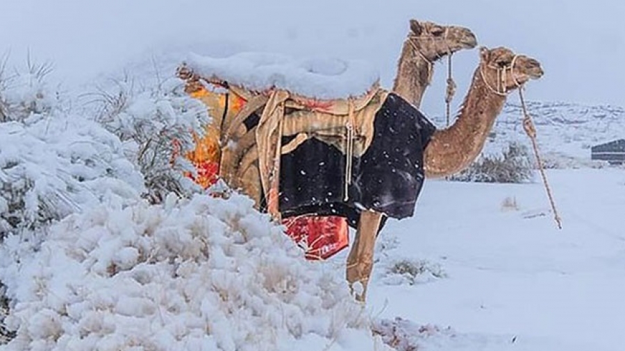 Χιόνισε ακόμα και στην έρημο Σαχάρα