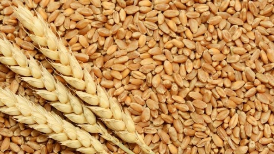 Global Times: Το εμπάργκο σιτηρών και η έλλειψη όπλων οδηγούν σε διχασμό στην Ευρώπη