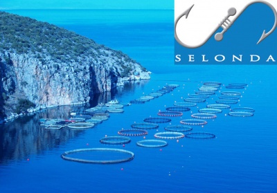 ΣΕΛΟΝΤΑ: Έως τις 20/6/ 2019 η έγκριση της συμφωνίας με Andromeda Seafood από την DGComp