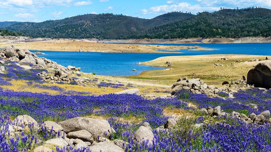 Εντοπίστηκε αγνοούμενο αεροπλάνο μετά από 56 ολόκληρα χρόνια!