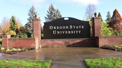 Oregon State University: Υψηλός κίνδυνος ψυχιατρικών διαταραχών για όσους μολύνθηκαν από τον Covid 19