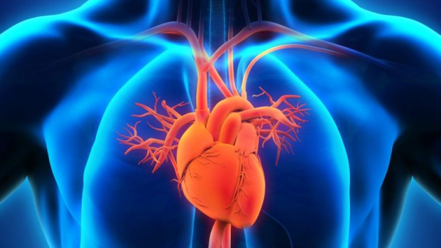 Γενετικός έλεγχος στα κληρονομικά καρδιαγγειακά νοσήματα: Σε ποιόν, πότε και γιατί;