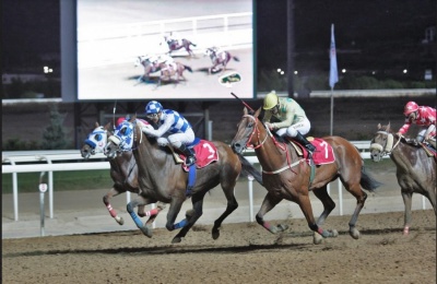 Markopoulo Park: Οι πέντε κορυφαίες ιπποδρομίες του Ιουλίου