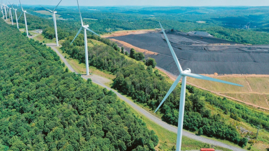 Χαστούκι στα καρτέλ: Βροντερό όχι για ανεμογεννήτριες σε Natura - Δεν προχωρά η αδειοδότηση σε 11 αιολικούς σταθμούς στον Έβρο