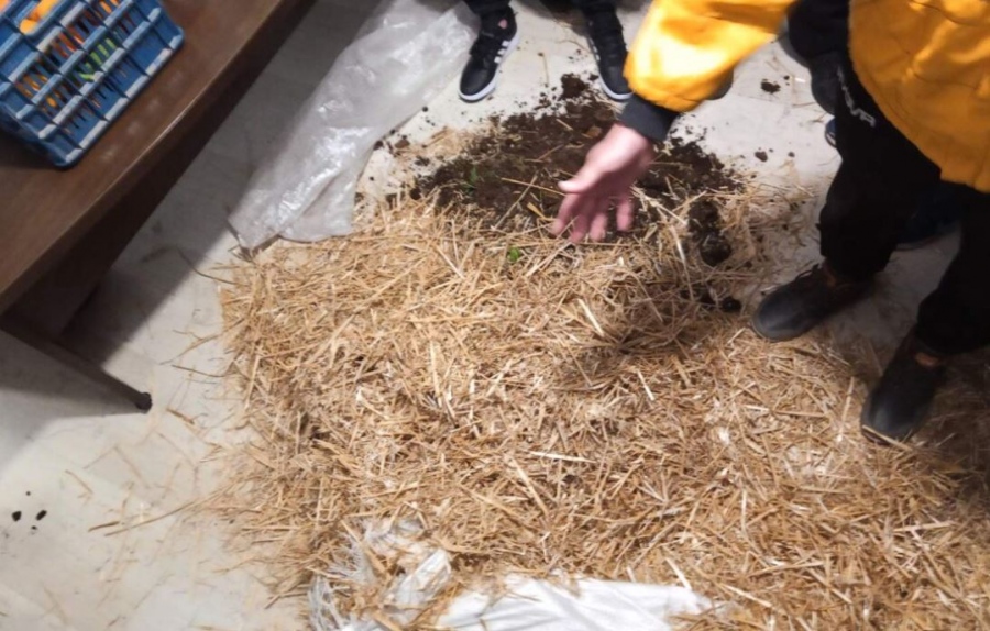 «Δώρο» σανό και κοπριά από τους αγρότες στους γαλάζους βουλευτές Κ. Καραγκούνη και Θ. Παπαθανάση