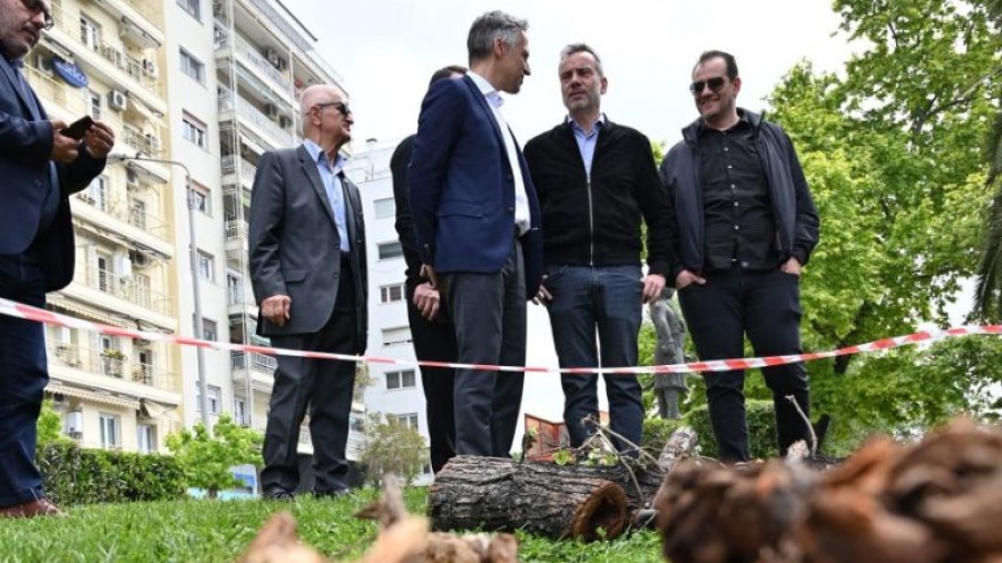 Αναβαθμίζεται από τη Regency το πράσινο στην Τσιμισκή