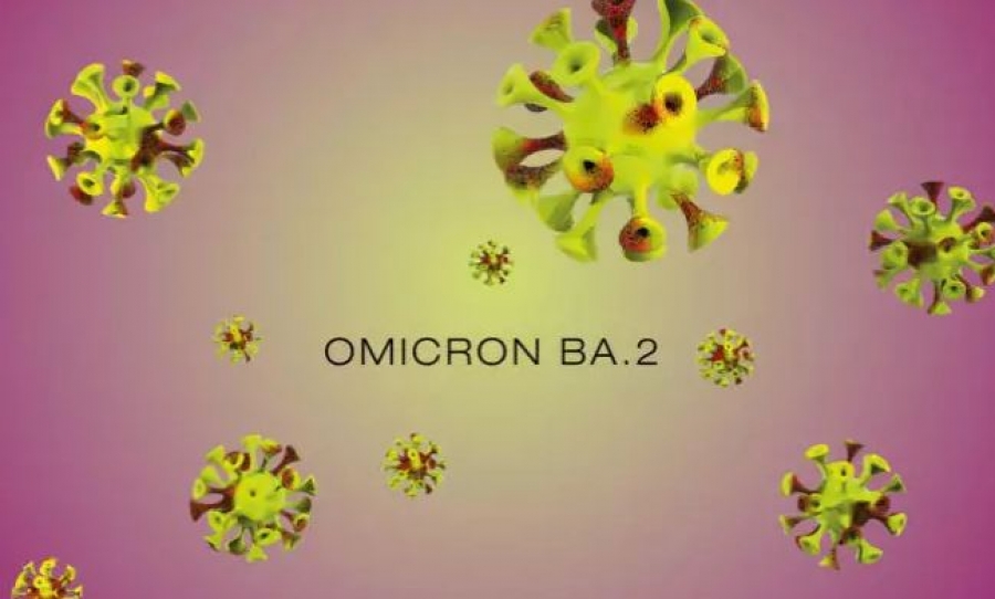 Η υποπαραλλαγή BA2 της Omicron θα γίνει η κυρίαρχη μετάλλαξη παγκοσμίως – Πόσο θα επηρεάσει την πορεία της πανδημίας