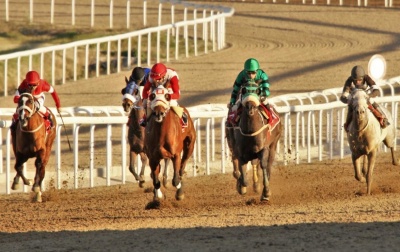 Εννέα αμφίρροπες κούρσες και κέρδη για πολλούς στις πρώτες ιπποδρομίες του Μαρτίου