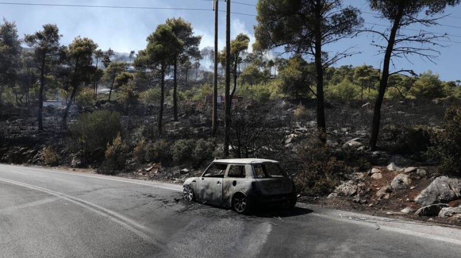Ξεκινούν οι αιτήσεις των πληγέντων από την πυρκαγιά στους Δήμους Σαρωνικού και Λαυρεωτικής