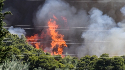 Στις 73 οι πυρκαγιές το τελευταίο 24ωρο - Οι περιοχές υψηλού κινδύνου για αύριο