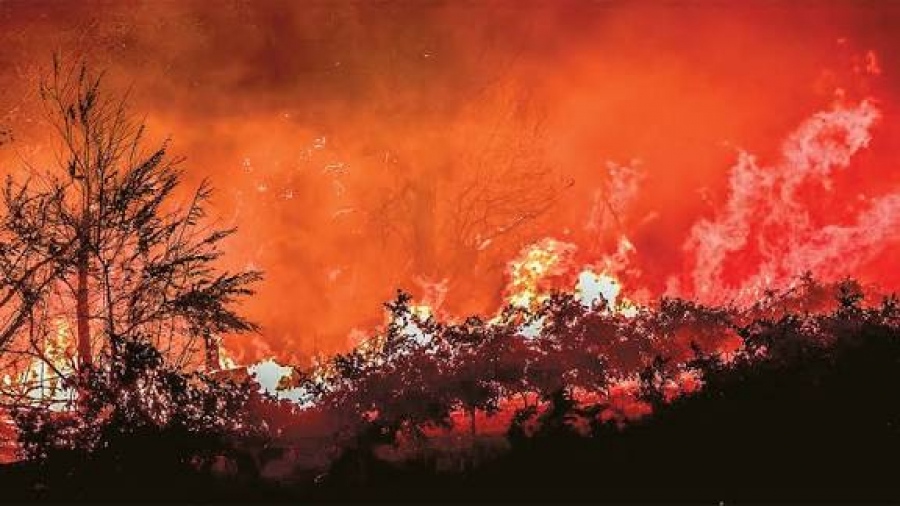 Υπό έλεγχο και οι 3 φωτιές στη Θεσσαλονίκη