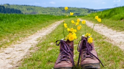 Η GlobalData αποκαλύπτει τις 5 πιο δημοφιλείς τουριστικές δραστηριότητες