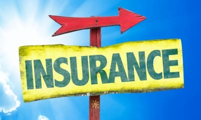 Εξατομικευμένες επιθέσεις - Ο ρόλος των ασφαλιστών και η νομοθεσία στην Ευρώπη