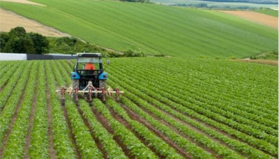 Πτώση 3,6% του δείκτη τιμών εκροών στη γεωργία το Μάρτιο του 2018