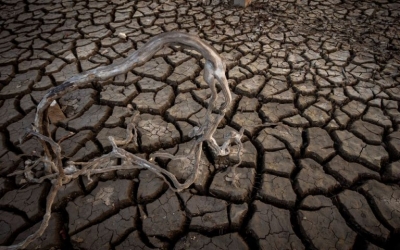 Κλιματική αλλαγή: Υπό απειλή οι καλλιέργειες σε Ισπανία και Πορτογαλία λόγω ξηρασίας