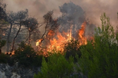 Σε εξέλιξη η μεγάλη φωτιά και στη Μεσσηνία – Σκληρή μάχη των πυροσβεστών