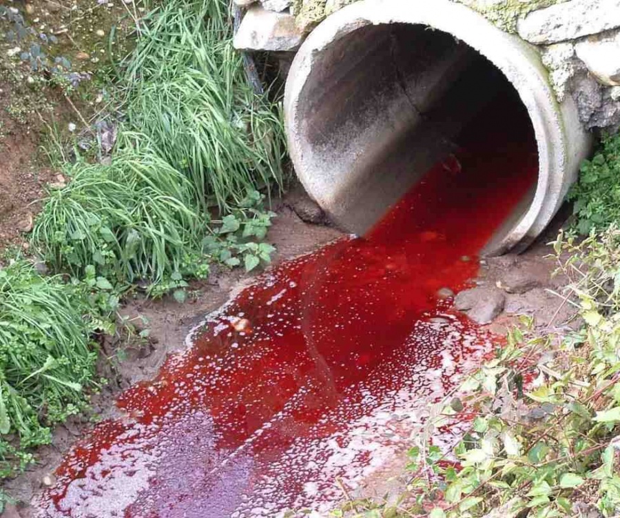 Ελλάδα: Από τις πιο υποανάπτυκτες στον κόσμο στην Προστασία Περιβάλλοντος. Ακόμη και από τη Ρουάντα...