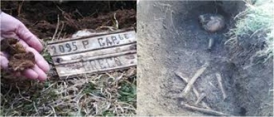 ΓΕΕΘΑ:  Δημιουργία βάσης δεδομένων ταυτοποίησης DNA