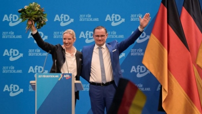 Πραξικόπημα στη Γερμανία - Τα κόμματα του κατεστημένου προσπαθούν να περιορίσουν την επιρροή του πατριωτικού AfD