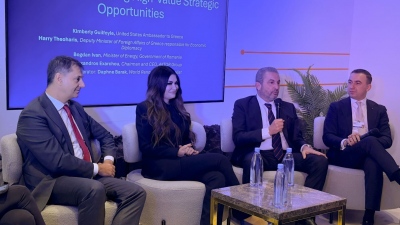 Εξάρχου από Davos: Η Ευρώπη να επιδοτήσει τον κάθετο ενεργειακό άξονα - Κομβικός ο ρόλος του LNG