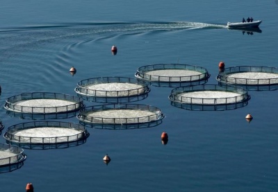 Νέες προοπτικές για την ελληνική υδατοκαλλιέργεια