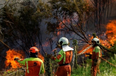 Συντονισμένη δράση εμπρηστών με 100 πυρκαγιές μέσα σε λίγες ώρες στην Ισπανία – Στάχτη 110.000 στρέμματα