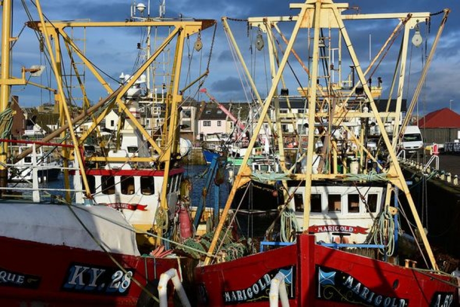 Προβλήματα για την αλιευτική βιομηχανία της Σκωτίας, μετά το Brexit