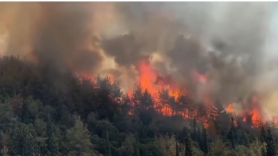 Συναγερμός στην Καβάλα - Φωτιά σε δασική έκταση στην Άσπρη Άμμο - Μήνυμα του 112 σε πολίτες