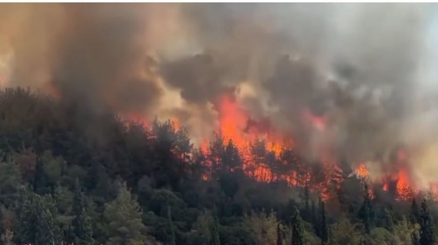 Συναγερμός στην Καβάλα - Φωτιά σε δασική έκταση στην Άσπρη Άμμο - Μήνυμα του 112 σε πολίτες