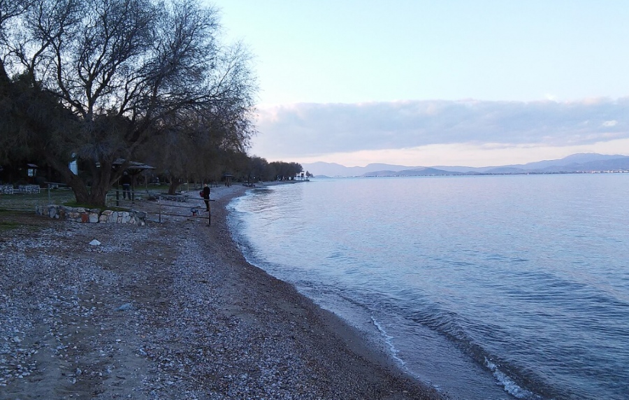 Το Δήλεσι Βοιωτίας στο έλεος των κλεφτών