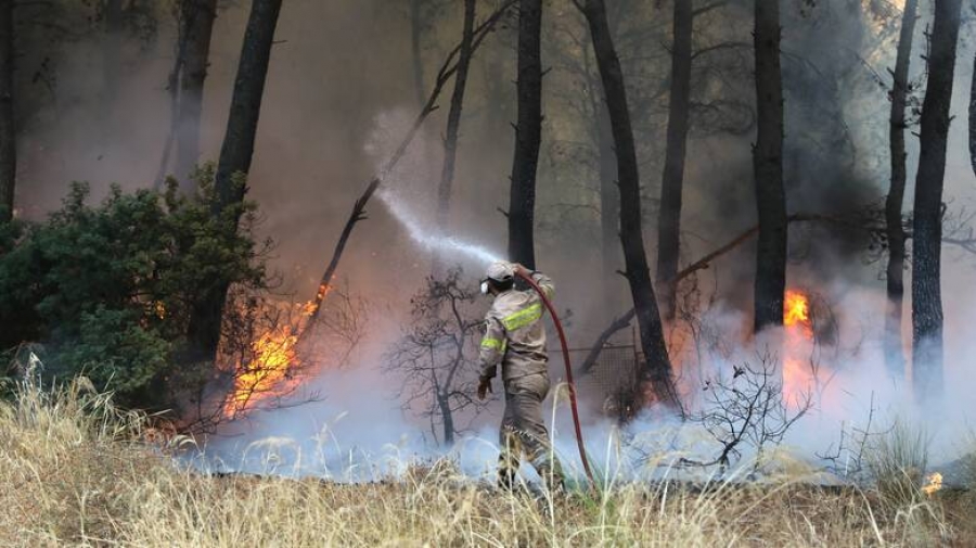 Σε ύφεση οι πυρκαγιές σε Αμαλιάδα, Κορινθία και Κέρκυρα