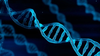 Επεξεργασία DNA σε έμβρυα - Ανοίγει ο δρόμος για μια «γενετική ελίτ» - Το «ένοχο» μυστικό πείραμα της Κίνας