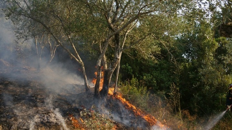 Οριοθετήθηκε η πυρκαγιά στο Πανόραμα Θεσσαλονίκης - Δεν εκκενώθηκε οικισμός