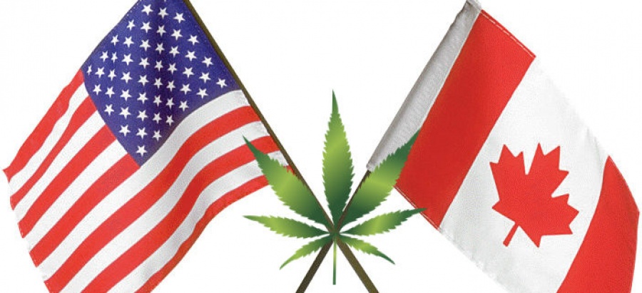 Παλιρροϊκό κύμα αλλαγών στη βιομηχανία κάνναβης στις ΗΠΑ και τον Καναδά - Πού και γιατί είναι φθηνότερη